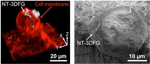 Nanowires Stimulating Neurons