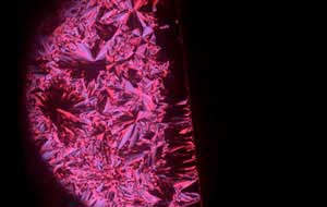 A polarized optical microscopy image of the columnar liquid crystals sandwiched between two crossed polarizers