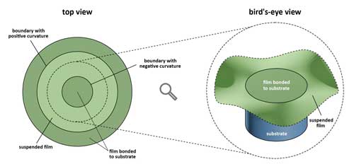 designing ring-shaped diamond windows