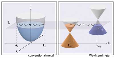 Diagram depicts the different conditions that give rise to a Kohn anomaly in ordinary metals (at left), versus a material called a Weyl semimetal (at right)