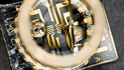 organic electrochemical transistor