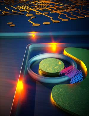 Artistic representation of a strain engineered 2D photodetector on silicon photonic circuit