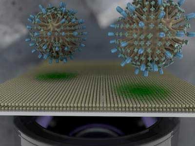 Schematic of Cell Membrane on a Chip