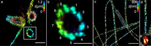 Super-Resolution Microscopy
