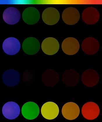Fluorescent Peptide Nanoparticles, in Every Color of the Rainbow