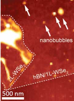 An atomic force microscope image showing nanobubbles formed between a single layer of the 2-dimensional semiconductor WSe2 (1L- WSe2) and a layer of hexagonal boron nitride (hBN), an insulating material