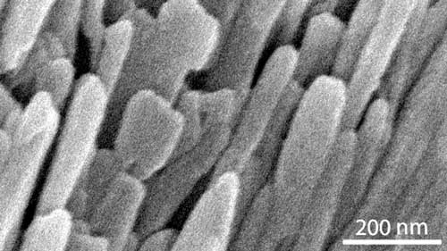 atomic structure of human tooth enamel