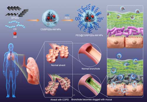 Schematic diagram illustrating the fabrication process of a drug delivery system that penetrates pulmonary mucus layer