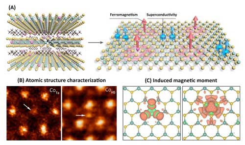 illustration of the interlayer-space confined chemical design method for the synthesis of tantalum disulfide molecular superlattice with the superconducting regions and ferromagnetic regions in a single atomic layer
