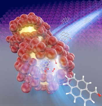 Acceleration of the chemical reaction by ?-MnO2 catalyst in the nanospace of the particles