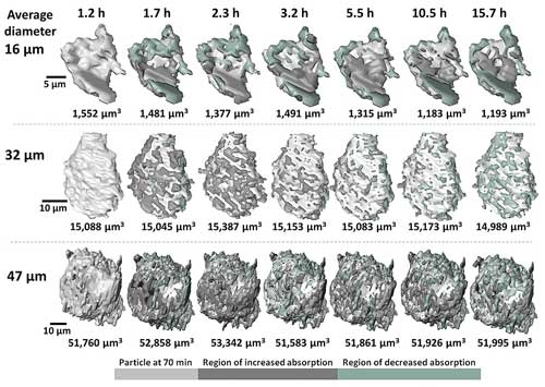 Imaging of the evolution of three cement particles