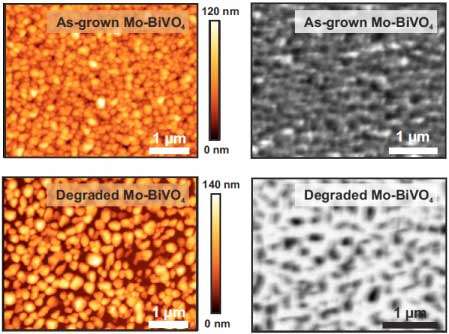 Atomic force microscopy images of Mo-BiVO4 thin films before degradation (top-left) and after degradation