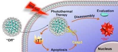 A Self-Evaluating Photothermal Therapeutic Nanoparticle