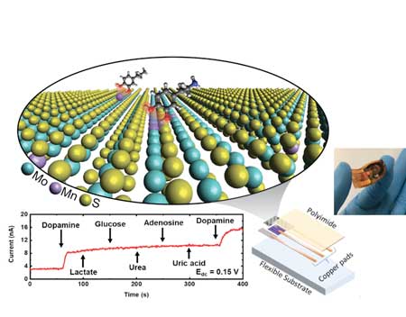 Schematic of a highly selective dopamine detector using the two-dimensional material MoS2