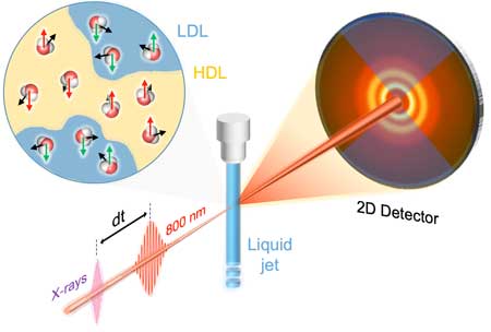 The schematic of the experiment used to capture the alignment of water molecules by the laser light