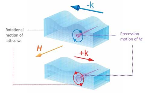 Schematics of magneto-rotation coupling