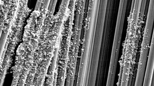 Electron micrograph of cellular nanocrystals on the carbon fibers