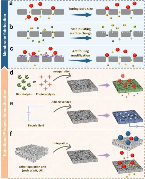 Schematic diagram of strategies for enhancing selectivity of nanofiltration membranes