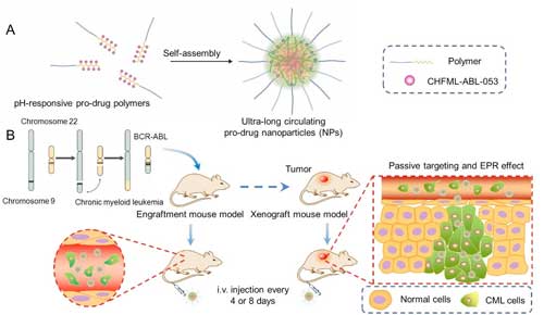 Circulating Nanoparticle Developed for Chronic Myeloid Leukemia