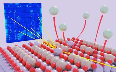 Extraction and dissolution of Platinum atoms revealed by X-ray diffraction