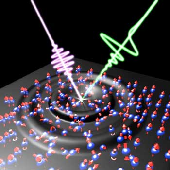 measuring the magnetization dynamics in an iron nanofilm caused by ultrafast electronic and acoustic processes