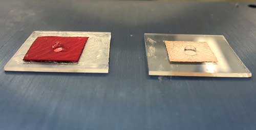 a rose petal and a metallic replica of the petal's surface texture
