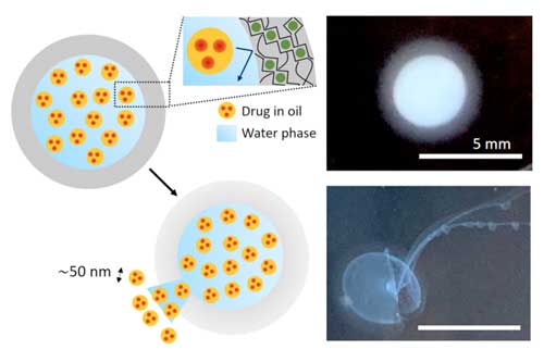nanoemulsion for drug delivery