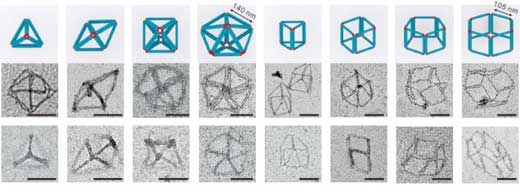DNA Origami Models and Transmission Electron Microscopy Images