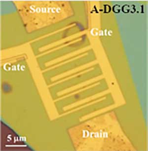 A scanning-electron microscopic top-view image of a fabricated graphene transistor structure