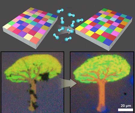 >Diagram of IGZO-based variable color filter technology and the micro color pixel experiment results