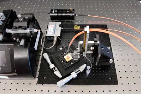 antibody testing platform