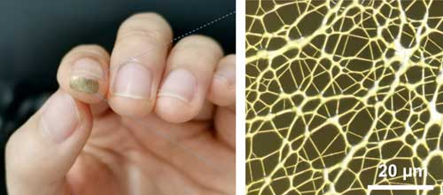 nanomesh sensor on a fingertip (left) and a microscopic image showing the nanofiber mesh coated with gold (right)
