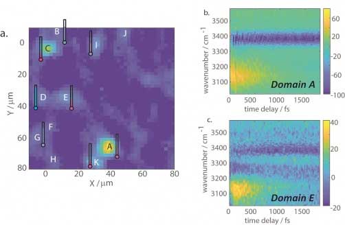 VSFG intensity image for the OH region of molecular self-assembled micron sheets