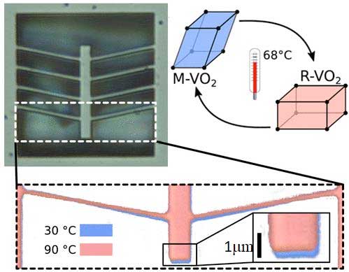 Bright-field microscopy image of a VO2 chevron-type planar actuator