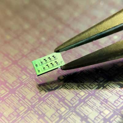 Silicon chip with multiple detectors