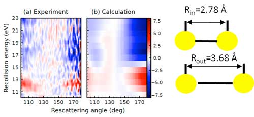 electron scattering cross-section measured and calculated