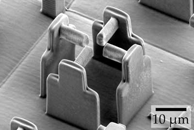 lectron micrograph of a microscopic scaffold