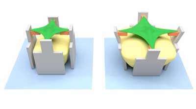 hydrogel (yellow) swells and pushes the micro-scaffold (grey) apart