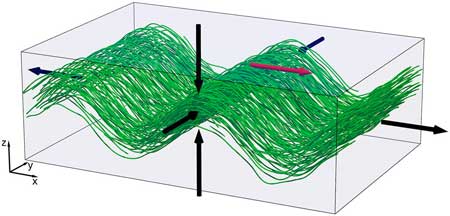 Microtubules (green) form a ribbon that condenses vertically and then forms wrinkles
