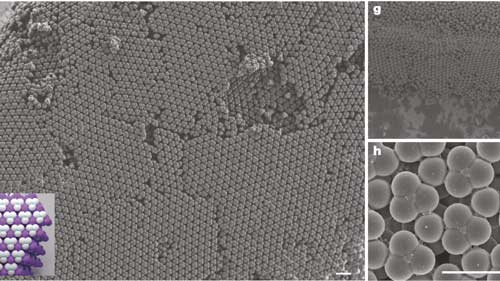 Micrograph of colloidal diamond structures