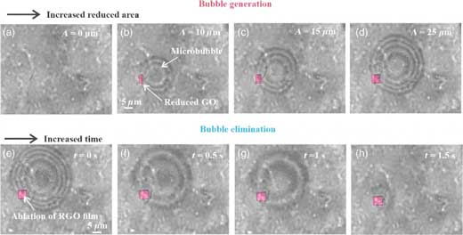 In situ optical microscopic images showing the process of the microbubble generation and elimination