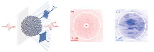 Inside micrometre-sized spheres, the disordered nanocrystals frequency-?double incoming red light into blue light (left)