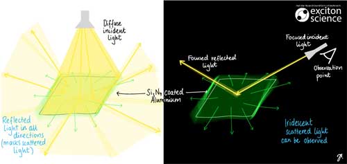 Concealed Structural Colors Uncovered by Light Scattering