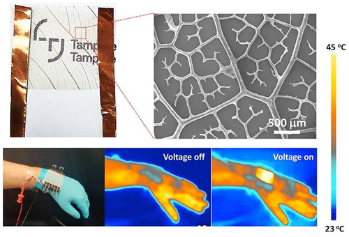 A biodegradable, transparent, flexible and fast-acting thermotherapy patch from plant leaves