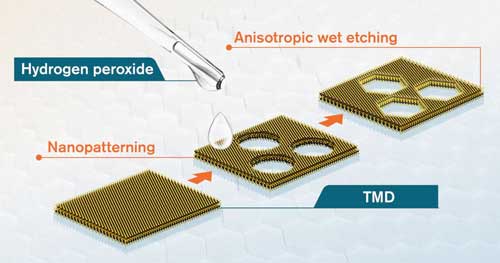 a method to finely control the edges of two-dimensional materials