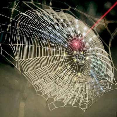 A spiderweb-inspired fractal design is used for hemispherical 3D photodetection to replicate the vision system of arthropods