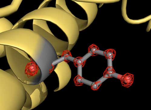 The cartoon illustration shows a part of the apoferritin protein (yellow) with a tyrosine side chain highlighted in grey