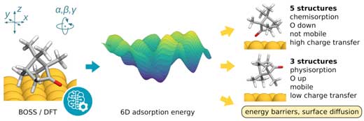 stable structures of camphor on Cu(111)