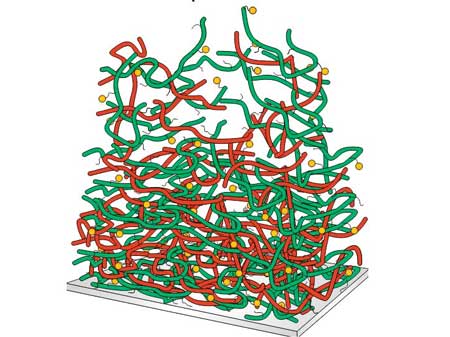 polyelectrolyte multilayers