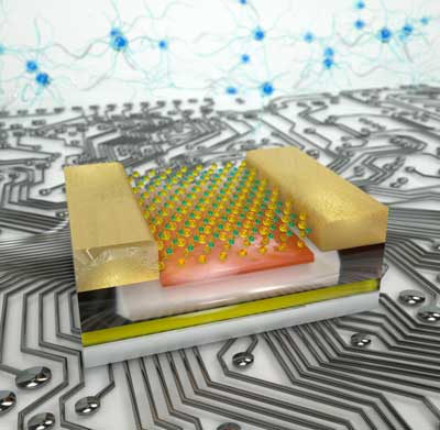 computer chip with two heads